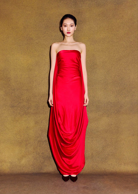Draped Overlay Gown