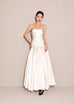 Tina Gown with Crinoline
