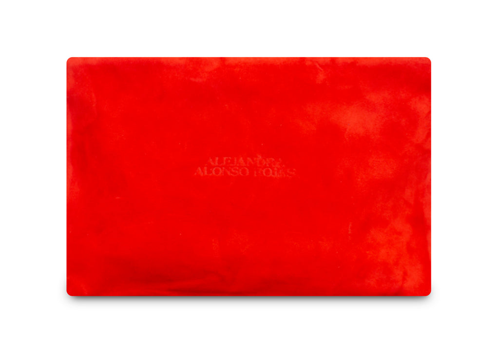 AURA RED AND NAVY POUCH
